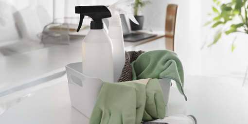 Glanzleistung - Haushaltsnahe Dienstleistungen