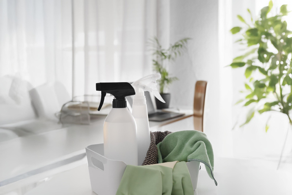 Glanzleistung - Haushaltsnahe Dienstleistungen