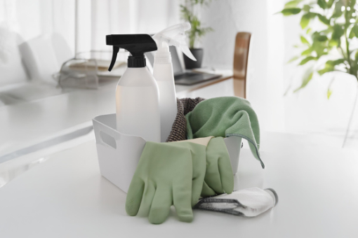 Glanzleistung - Haushaltsnahe Dienstleistungen