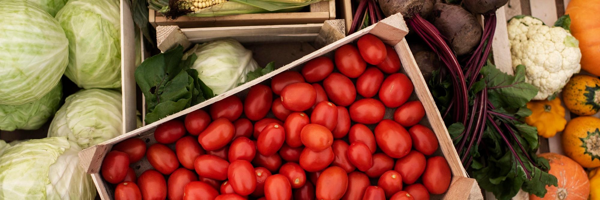 close-up-delicious-organic-tomatoes