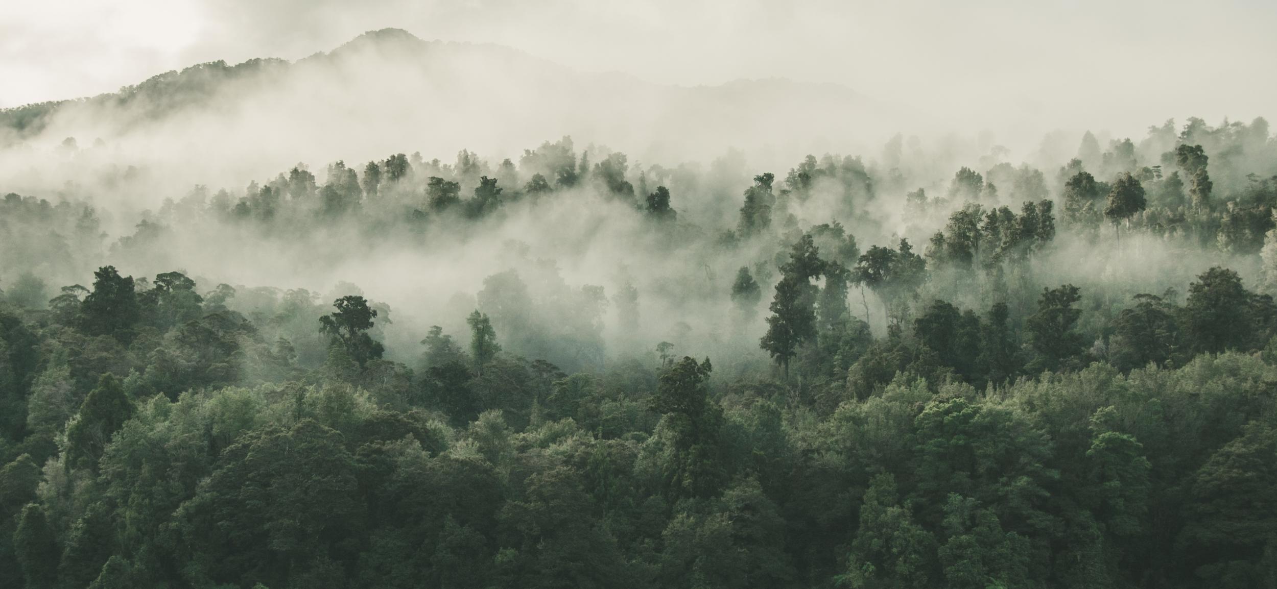 <span class='second'>Nachhaltigkeit</span><span class='first' style='font-weight:400;'>Über uns</span>