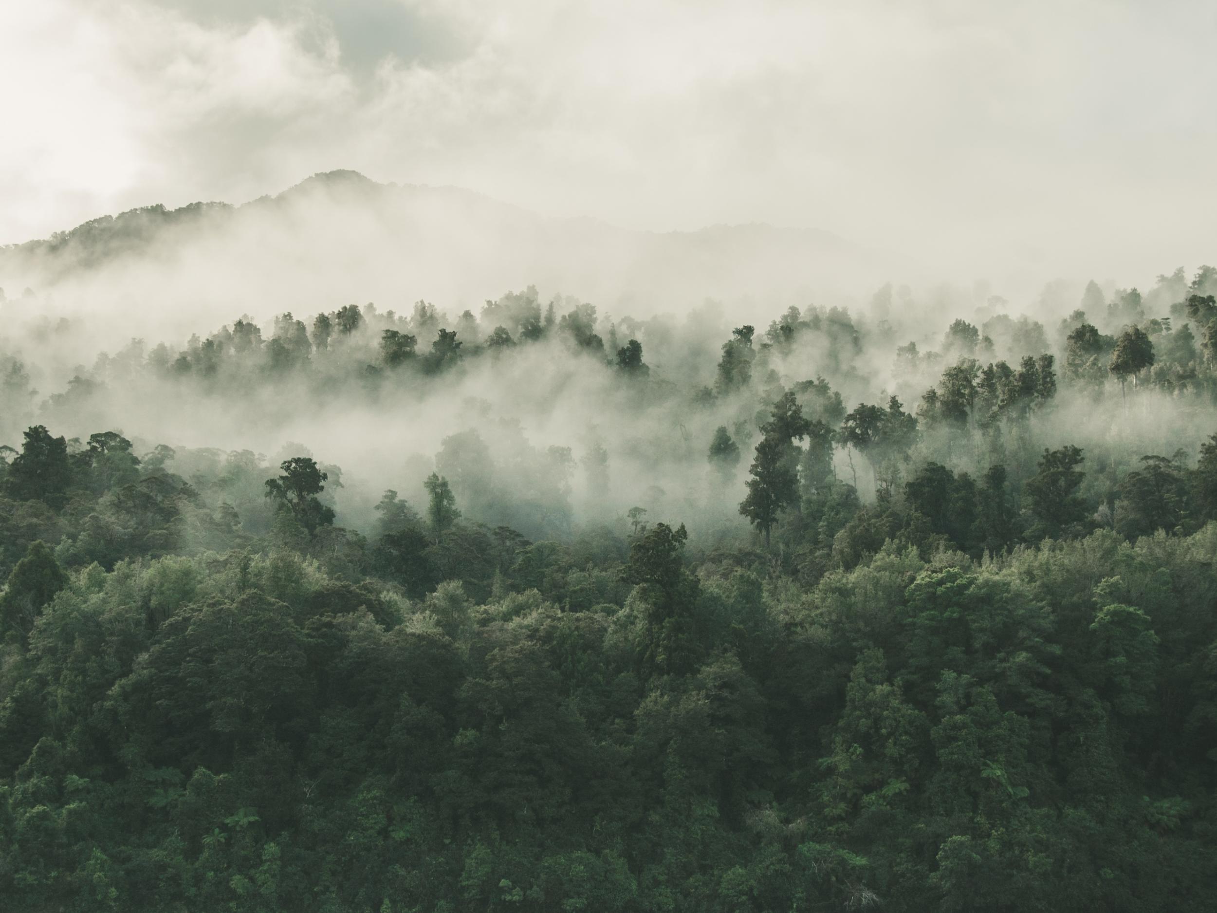 <span class='second'>Nachhaltigkeit</span><span class='first' style='font-weight:400;'>Über uns</span>