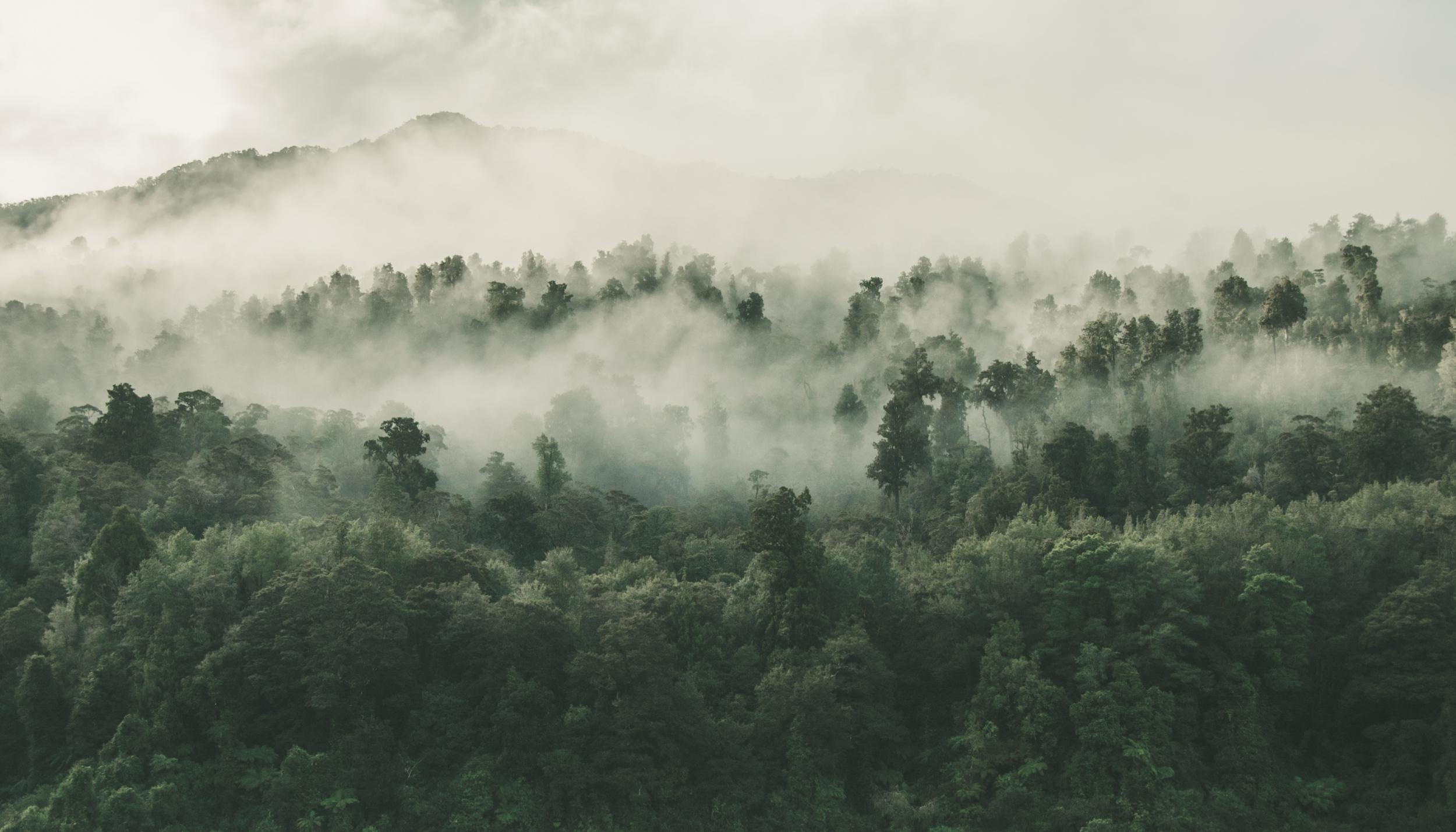 <span class='second'>Nachhaltigkeit</span><span class='first' style='font-weight:400;'>Über uns</span>