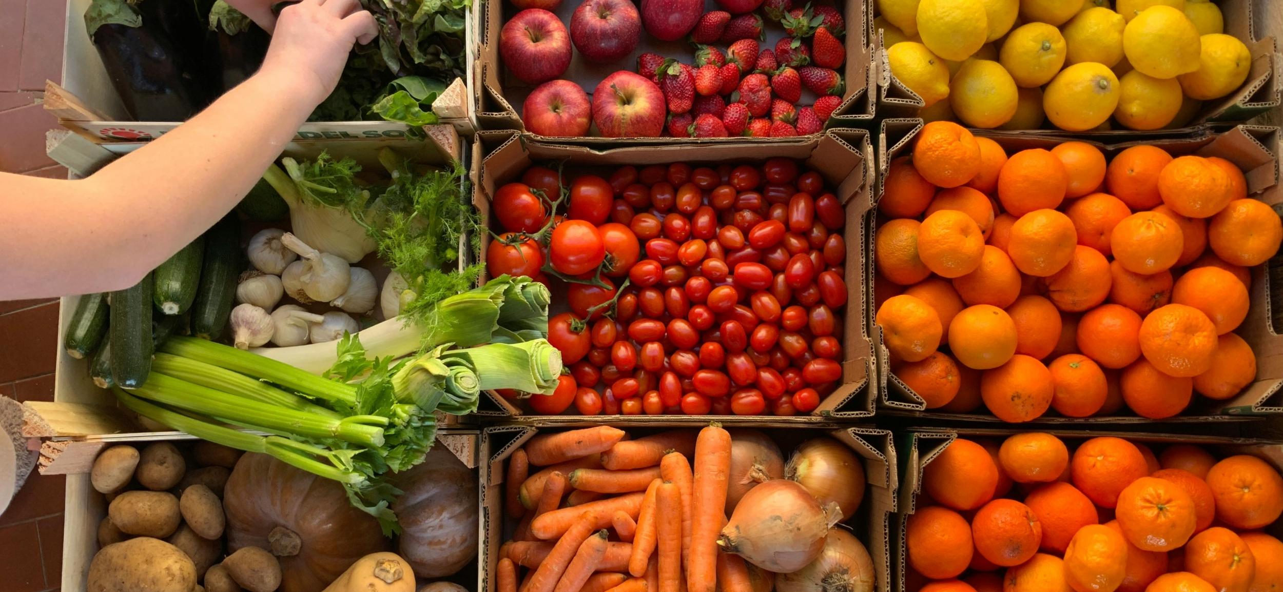 pexels-elimira-lotti-158522376-10756330