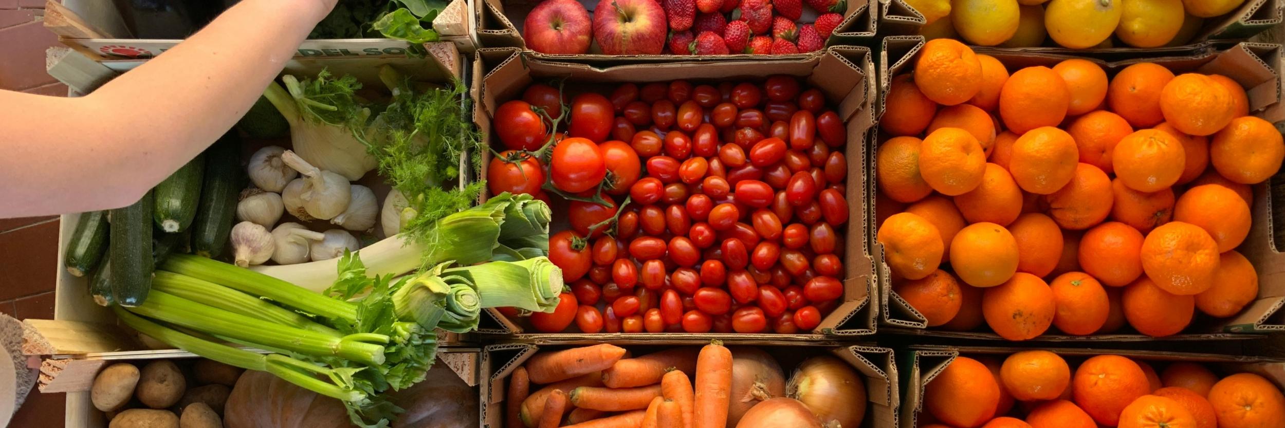 pexels-elimira-lotti-158522376-10756330