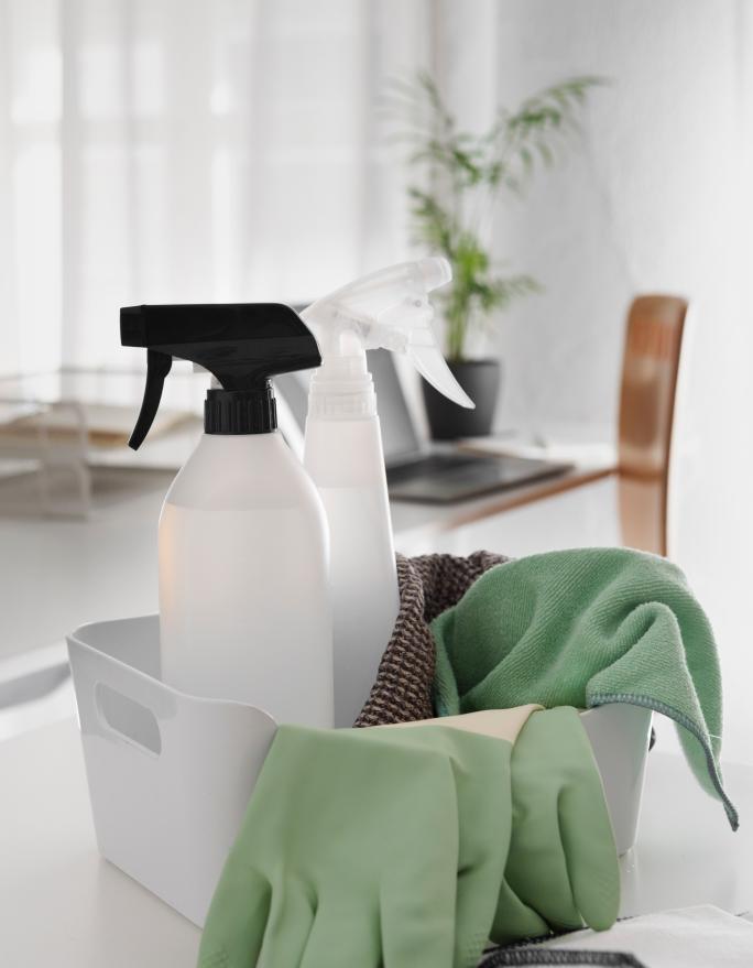 Glanzleistung - Haushaltsnahe Dienstleistungen